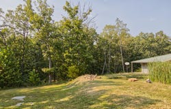 25980 Hermit Road, Urbana, MO 65767