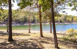 626 Gray Fox Road, Blue Eye, MO 65611