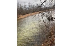 118 Madison CR 410, Fredericktown, MO 63645