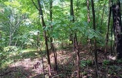 Battery Hill Lane, Tyro, VA 22976