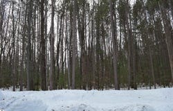773 GOLF SIDE DRIVE, KALKASKA, MI 49646