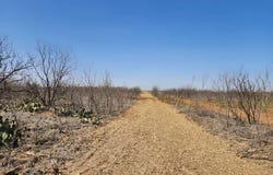 12929 County Road 356, Anson, TX 79501
