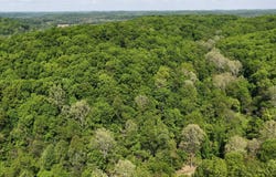 Salt Creek Road, Millfield, OH 45761