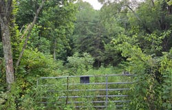 Volunteer Rd, Rutledge, TN 37861