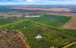 Cr-4308, De Kalb, TX 75559