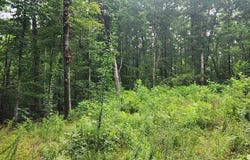 617 Red Ash Rd, SUGAR TREE, TN 38380