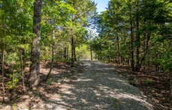 CR 476 lot: 7, Clarkridge, AR 72623