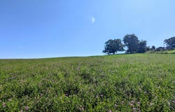 Floyd Highway lot: 1, Floyd, VA 24091