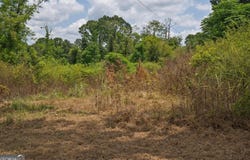 55 Askin Place, Culloden, GA 31016