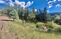 170 E Green Apple Lane, Payson, AZ 85541