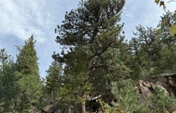 555 Riverside Dr, Lyons, CO 80540