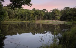 County Road 438, Elba, AL 36323