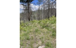 960X Knox Rd, Riverside, WA 98849