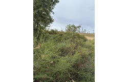 Highway 76 E Route 2, Ava, MO 65608