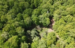 Abbey Rd, Greig, NY 13312