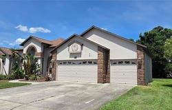 3904 HIDDEN SPRING Place, VALRICO, FL 33596