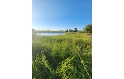SW Mirabile Dr, Polo, MO 64671