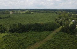 County Road 131b, Morton, MS 39117
