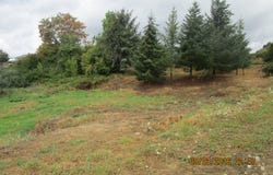 481 N BAXTER St, Coquille, OR 97423