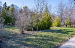 Ward St, Baileys Harbor, WI 54202