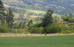 Hwy 64, Kamiah, ID 83536