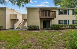 133 SABAL Court, OLDSMAR, FL 34677