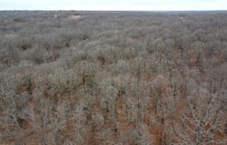 29534 Sunset Drive, Tecumseh, OK 74873