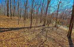 Grand View Drive lot: #450, Sunrise Beach, MO 65079
