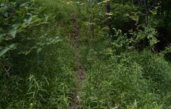 Route 346, Duke Center, PA 16729