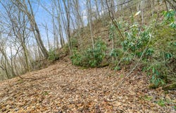 Forest Drive, Maggie Valley, NC 28751