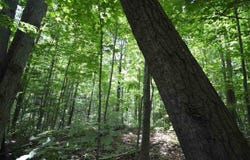 8294 Ridgeway Road, Petoskey, MI 49770