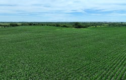120th Street, Corydon, IA 50060