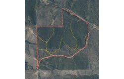 Mt. Gilead Rd, Tremont, MS 38876