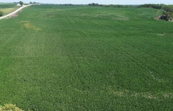 122 Acres Highway 21, Delta, IA 52550