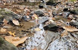 Black Oak Road, Rock, WV 24747