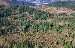 Timber Ridge Drive, Orofino, ID 83544