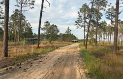 1613 Derby Rd, Jackson Springs, NC 27281
