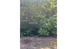 Point Road, Westminster, SC 29693