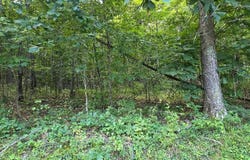 Bray rd, Mc Arthur, OH 45651