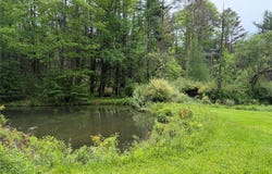 21 Hoffmann Street, Hankins, NY 12741