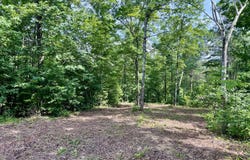 Restful Run lot: 24, Nancy, KY 42544