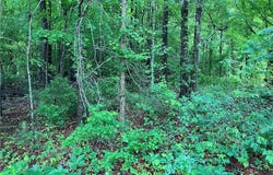 19.42 Ac Main Street, Mathews, VA 23109