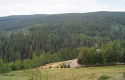 449 McLaughlin Lane, CO 81621