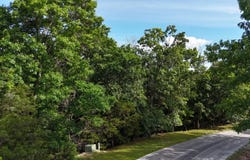 Howard Drive, Cape Fair, MO 65624
