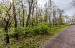 56,57 Summit Drive, Mackinaw, IL 61755