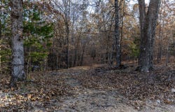 2112 County Road 348, Thayer, MO 65791