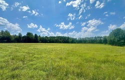 Maddox Dr., Quitman, AR 72131