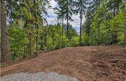 NE FINALBURG Rd, LaCenter, WA 98629
