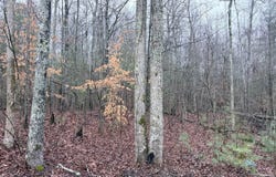 000000 hwy 68, Tellico Plains, TN 37385