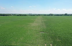 11th RD, Archer, NE 68816